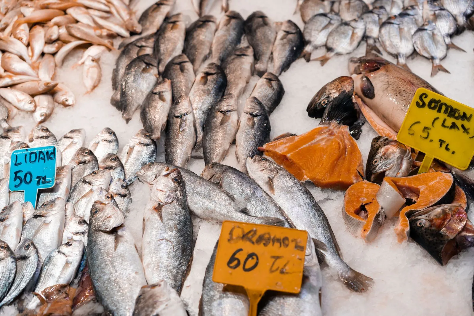 A variety of fresh fish and seafood on ice at a local market, labeled with prices.